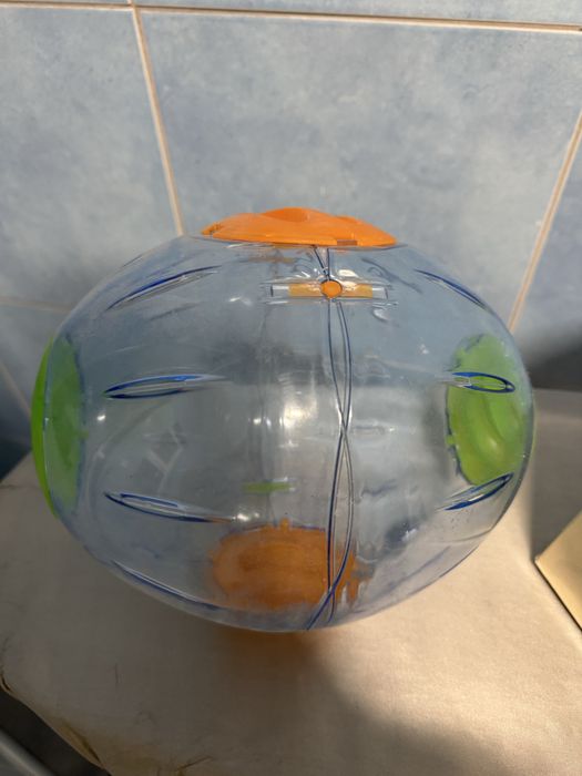 Bola para hamster