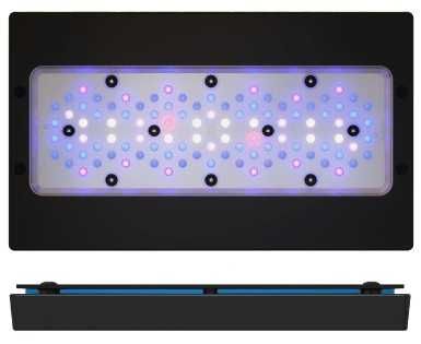 Reef - Ecotech Marine Radion XR30 G6 Pro/Blue