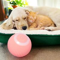 Интерактивный Умный мяч мячик для кошек и собак