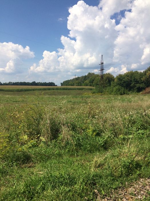 Земельна ділянка під забудову.