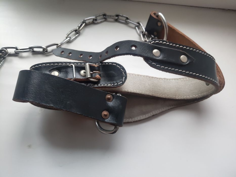 Шлея і цеп для собаки