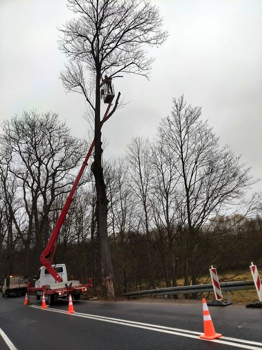 Podnośnik koszowy zwyżka wycinka drzew dostępny 24/7