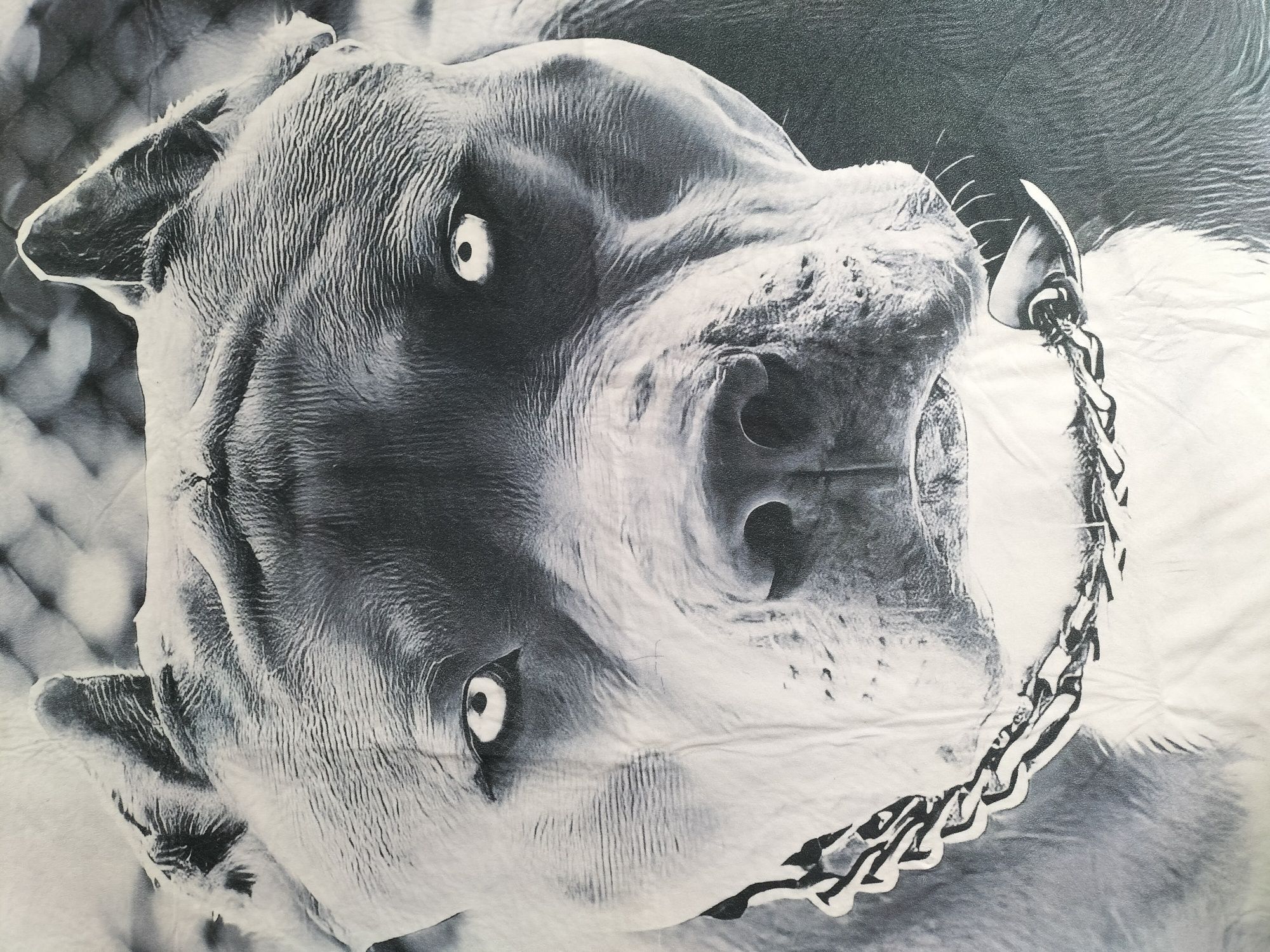 Dywan do pokoju dziecięcego młodzieżowego 160 x 225 cm z psem Pit Bull