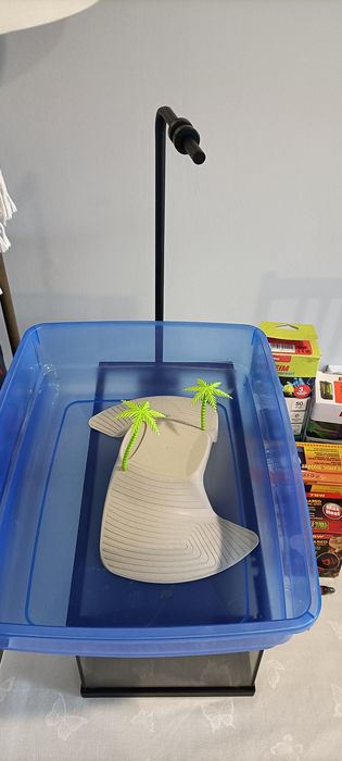 Kit completo tartaruga/ repteis/ inverno -verão