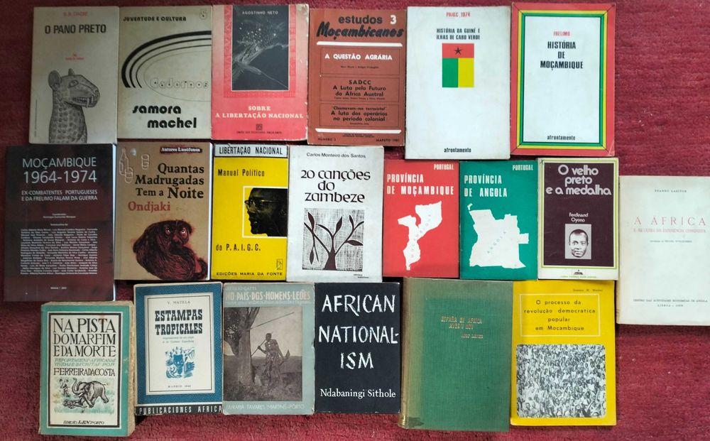Literatura Africana e sobre África