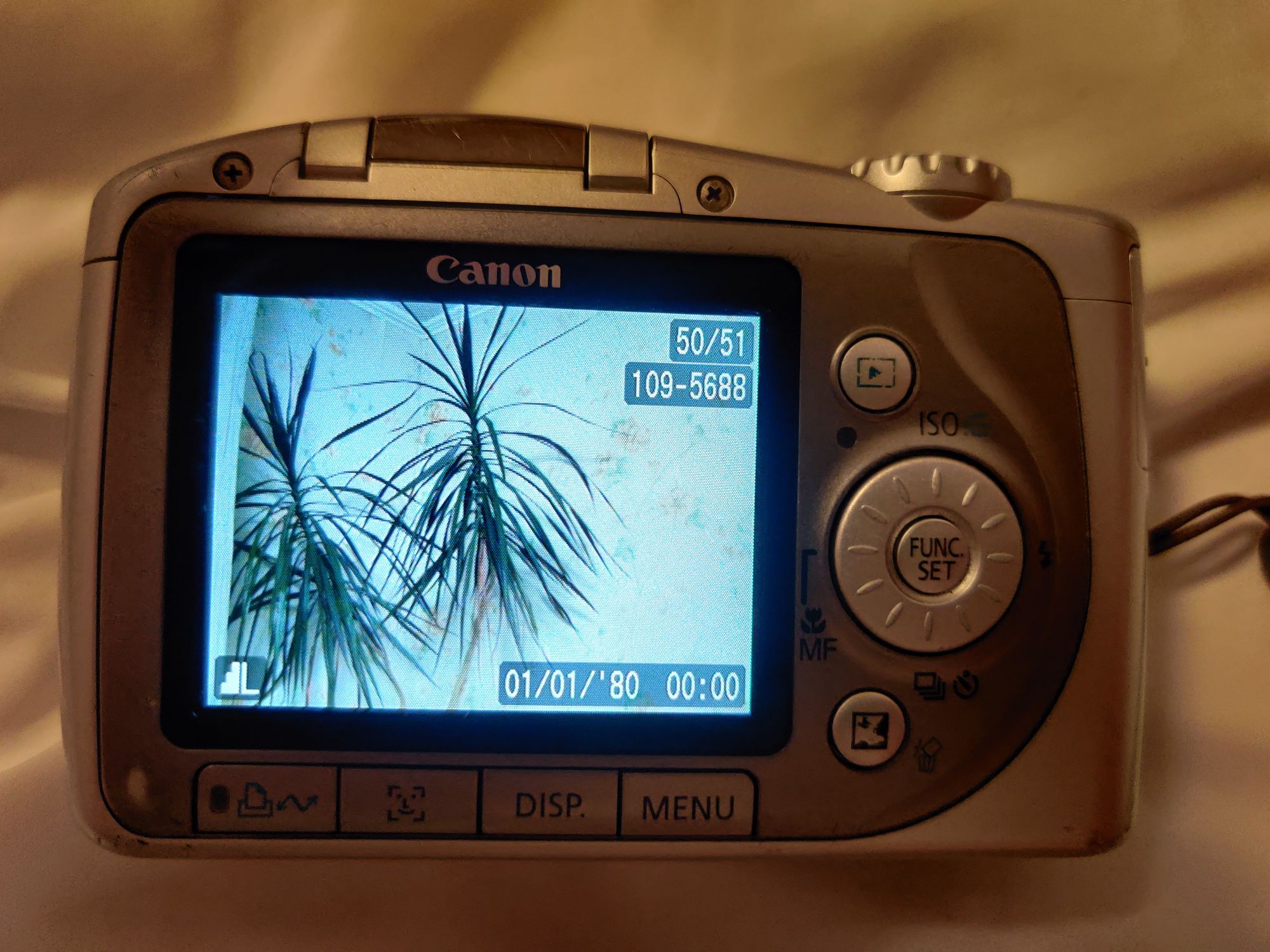 Canon PowerShot SX 100 IS Silver фотокамера, фотоапарат