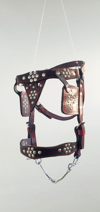 На коня Вуздечка кантарка капистра збруя упряж