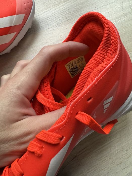 Буци сороконіжки