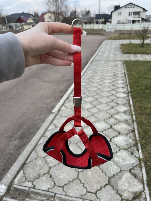 Повідець та шлейка