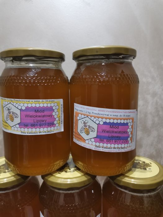 Miody z własnej pasieki zbiory 2025 rok