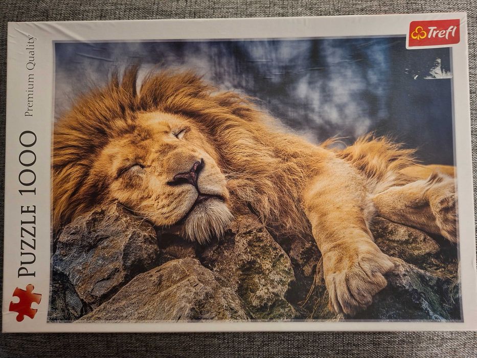 Розвiваючи пазлы