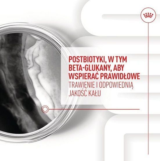 Przysmak z witaminą C i E dla szczeniąt od 6 miesiąca Royal Canin 100g