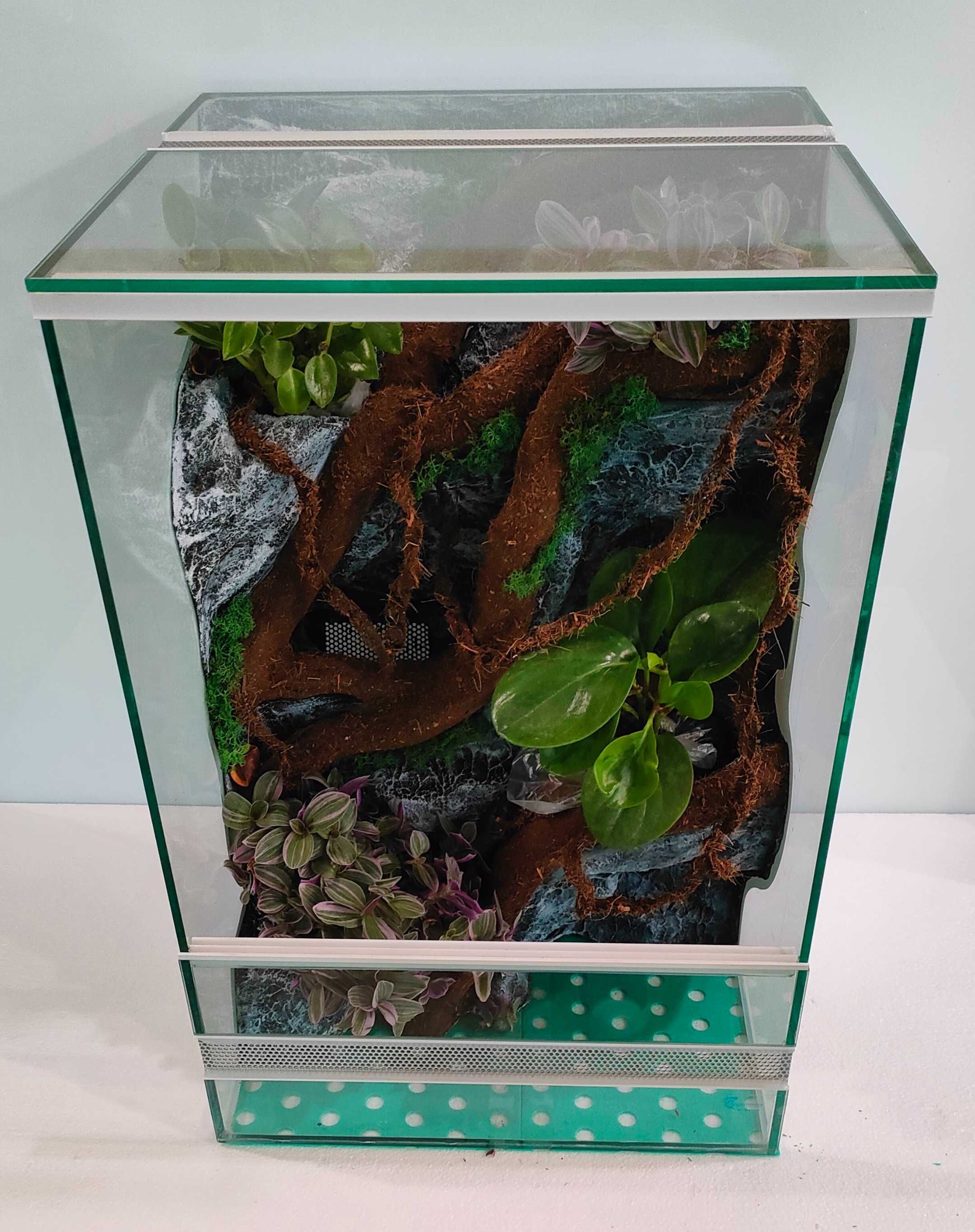 Terrarium dla gekona orzęsionego pełnym wyposażeniem AquaWaves TW30WSP