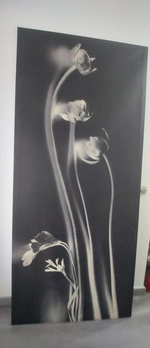 Tela em tons de cinza e branco