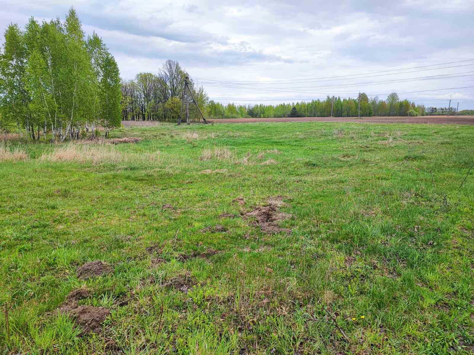 Продається земельна ділянка 25 сот під будівництво в с. Березівка
