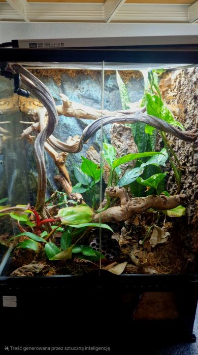 Terrarium exo terra 45x45x60