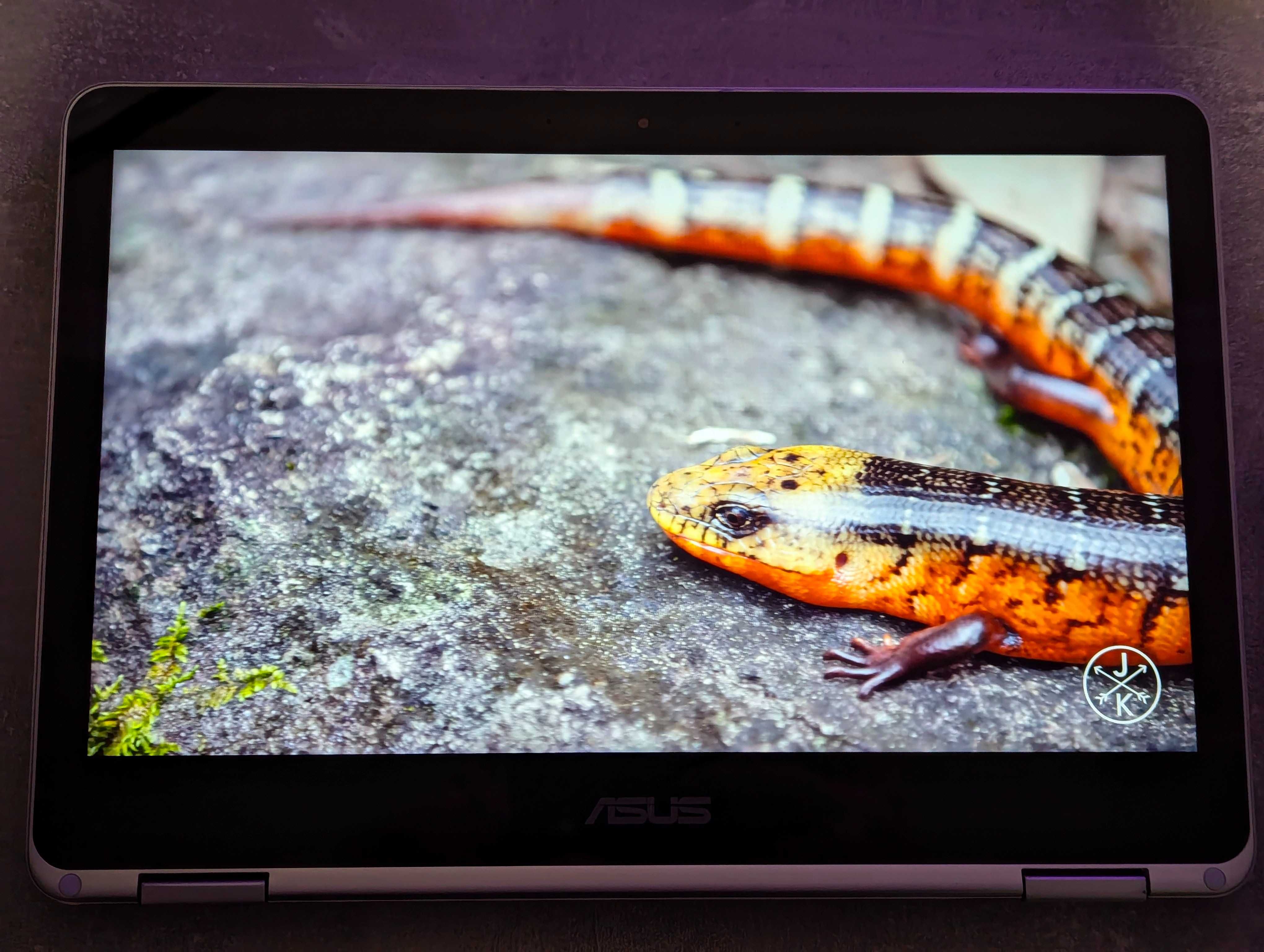 З дефектом Chromebook Asus C302C хромбук