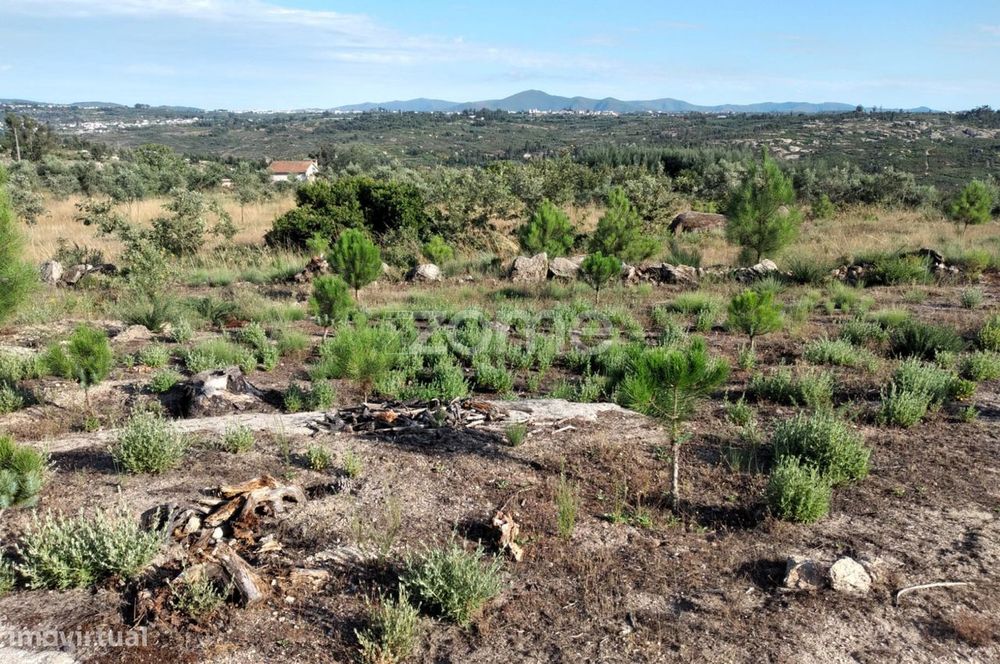 Terreno 1490m2 em Lagares - Coimbra