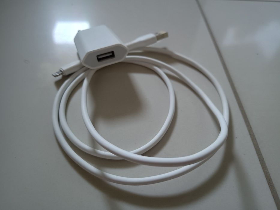 Oryginalna sieciowa ładowarka Apple iPhone