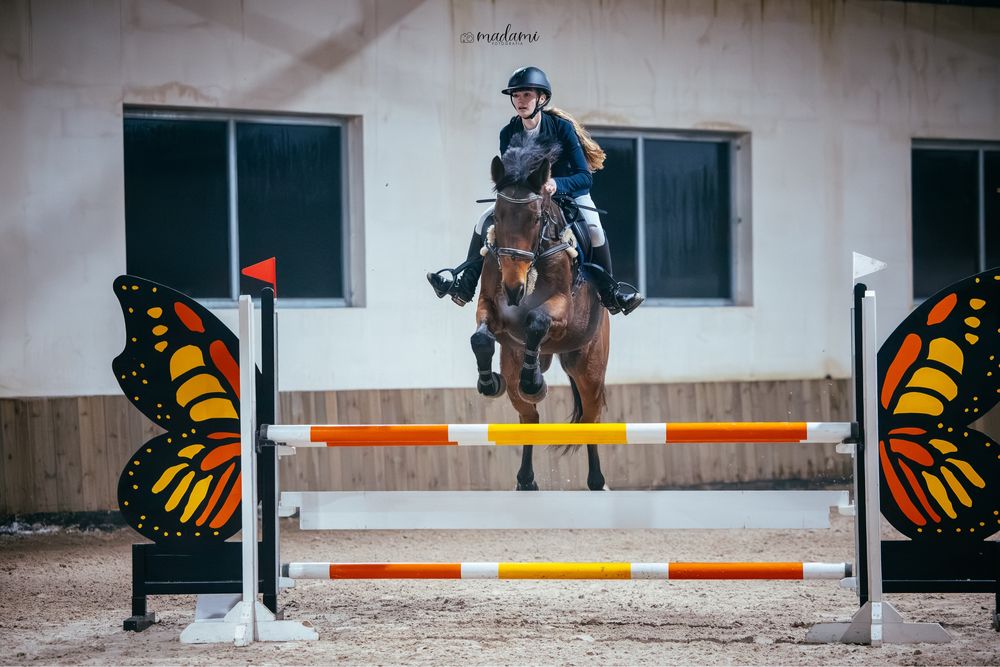 Walach profesor dla dziecka/amatora!