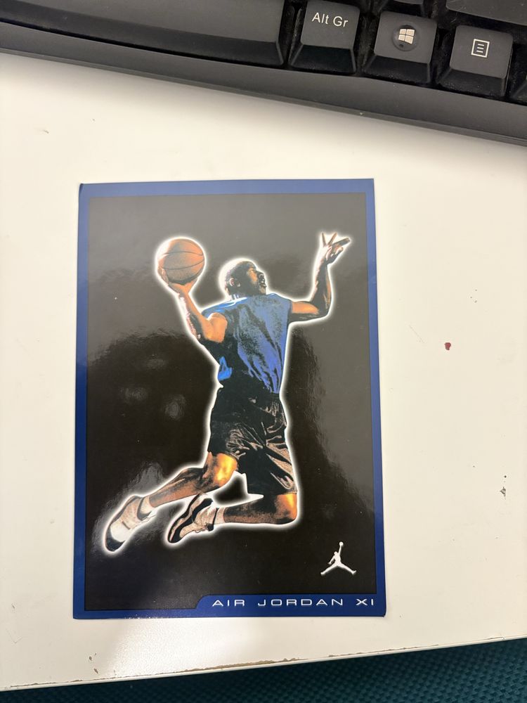 Jordan 11 cizento