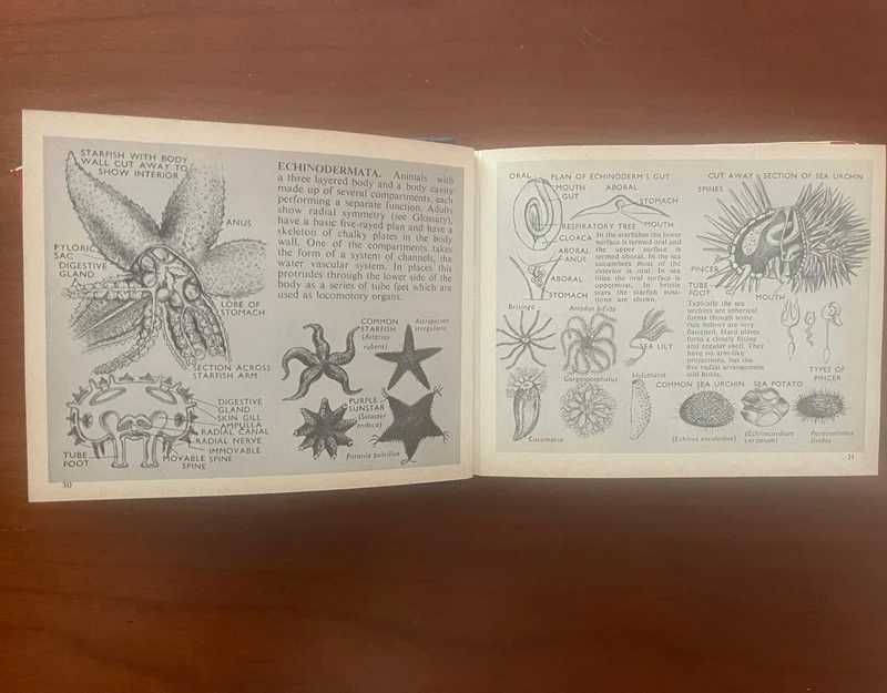 The Dumpy Pocket Book for Biologists