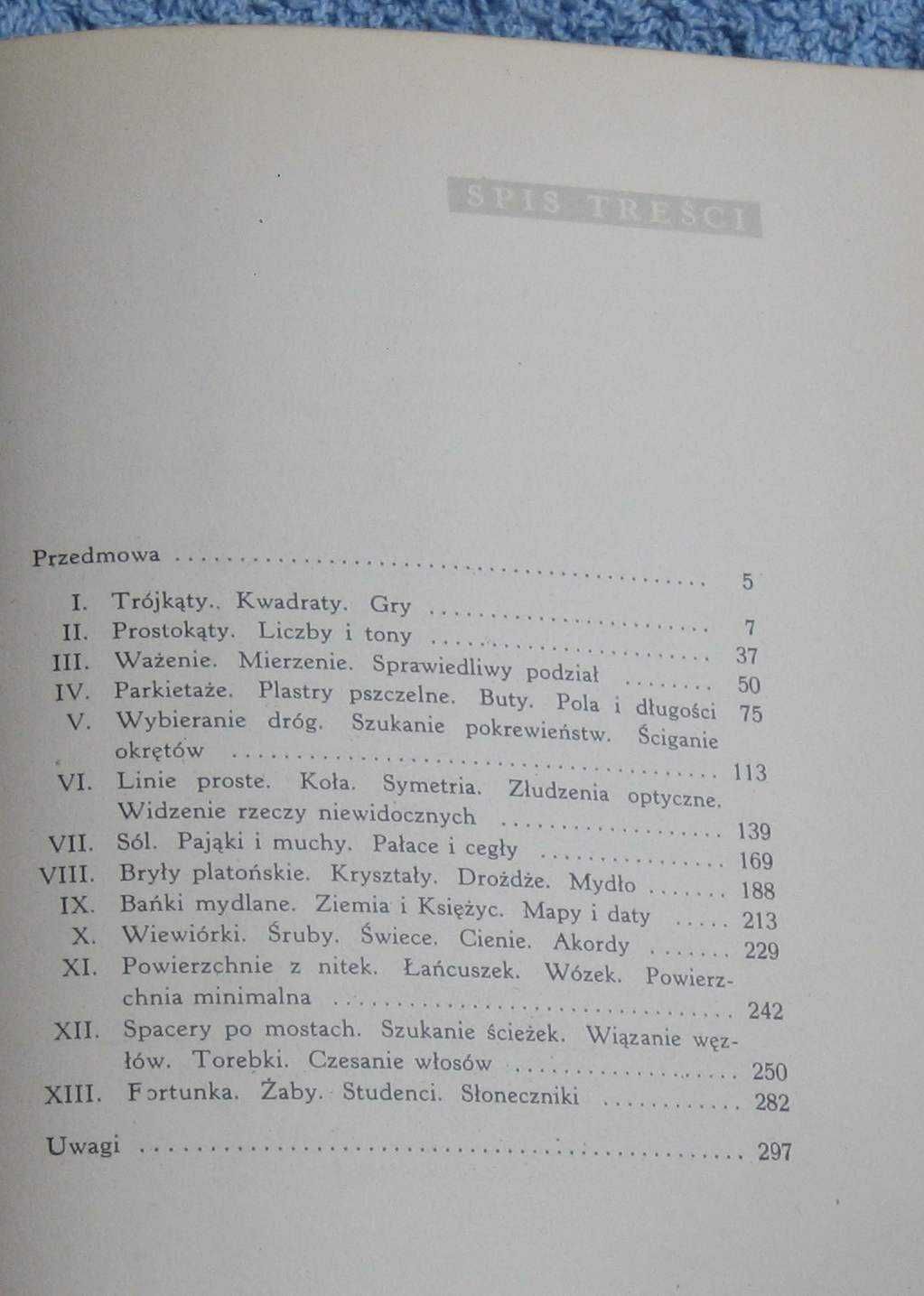 Kalejdoskop matematyczny - Steinhaus Matematyka