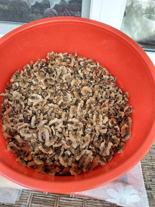 Перепонки з горіха