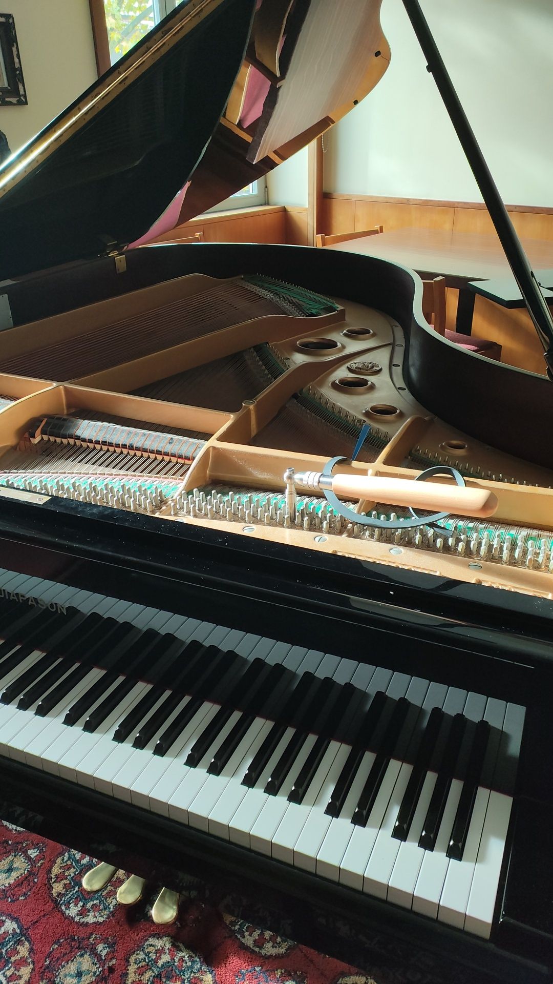 Técnico afinador de pianos