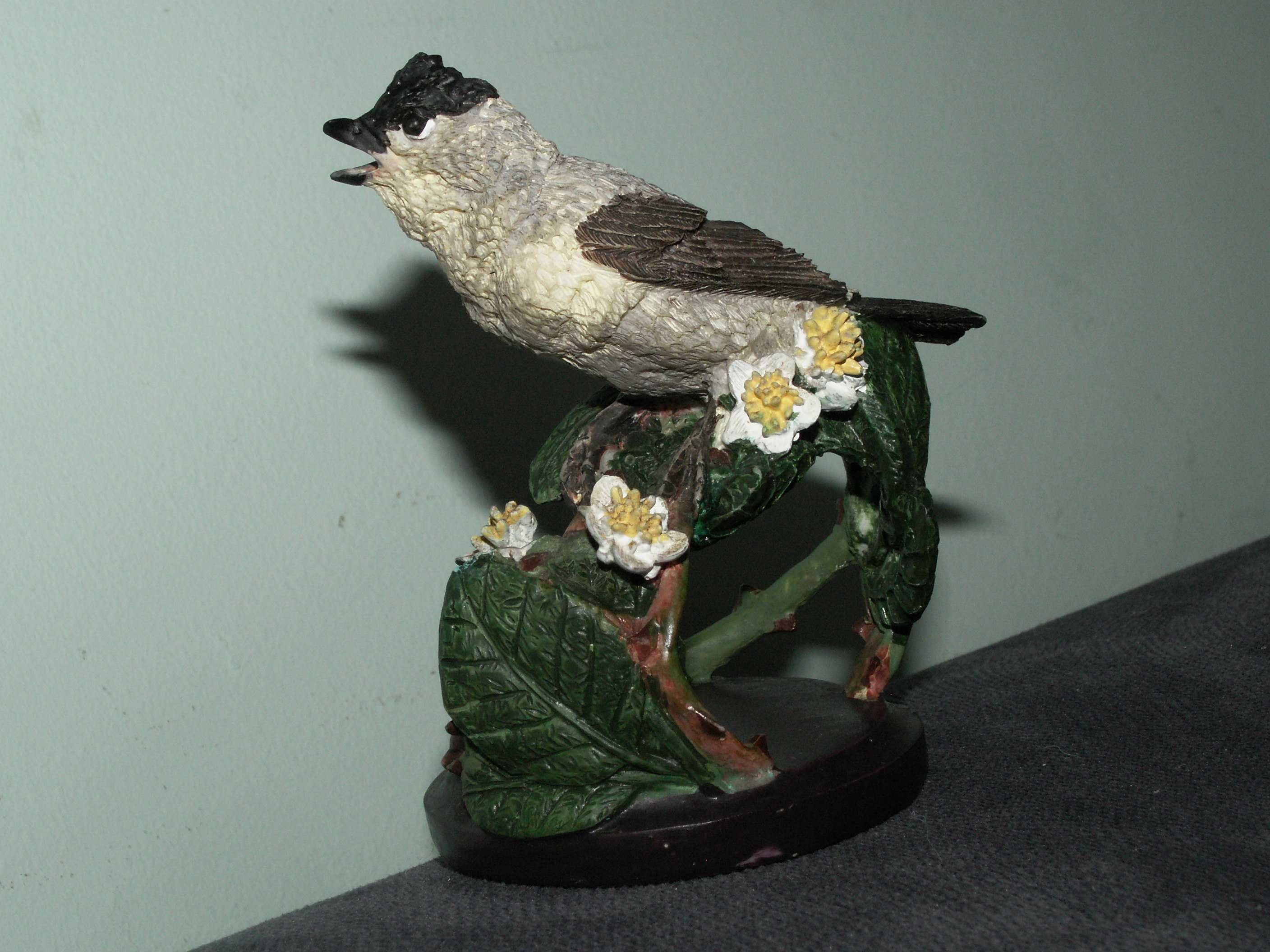 Ptaki - Kapturka -The Country Bird Collection - Vogelwelt Collection