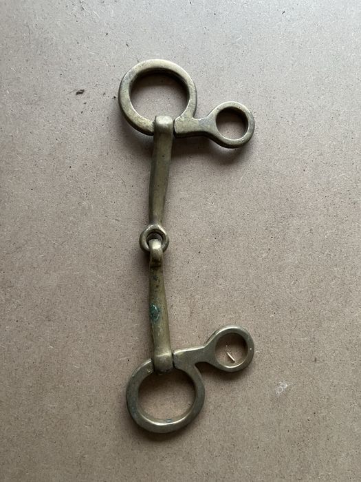 Bridão usado como novo