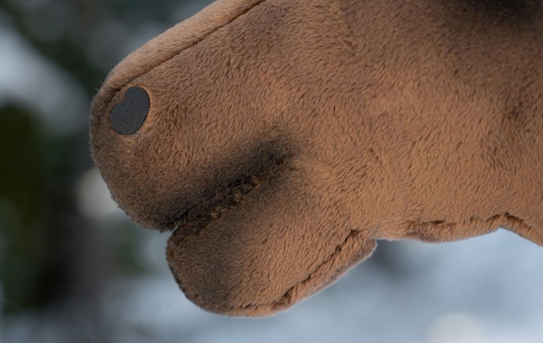 Hobby horse gniady