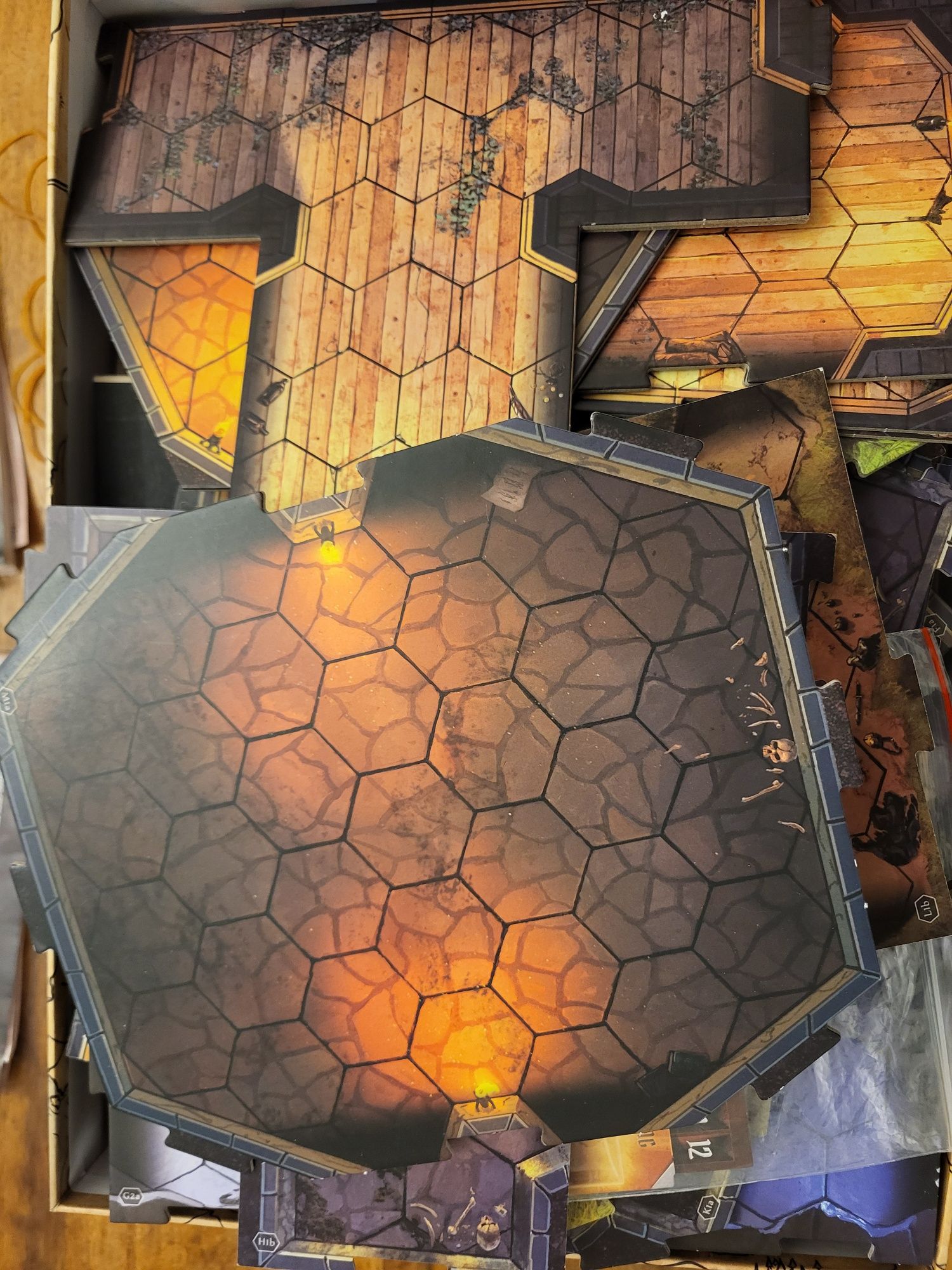 Gloomhaven Eng - ProPainted plus Organizer