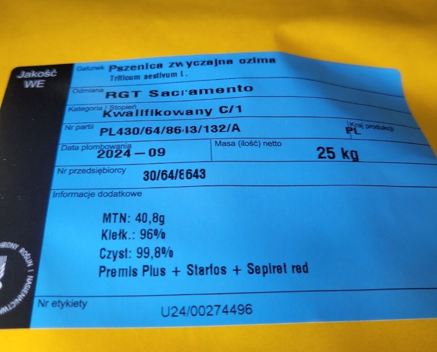 Pszenica ozima Wąsatka Sacramento