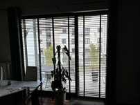 Żaluzje drewniane szerokie listwy (4cm) wysokie okna 230cm,