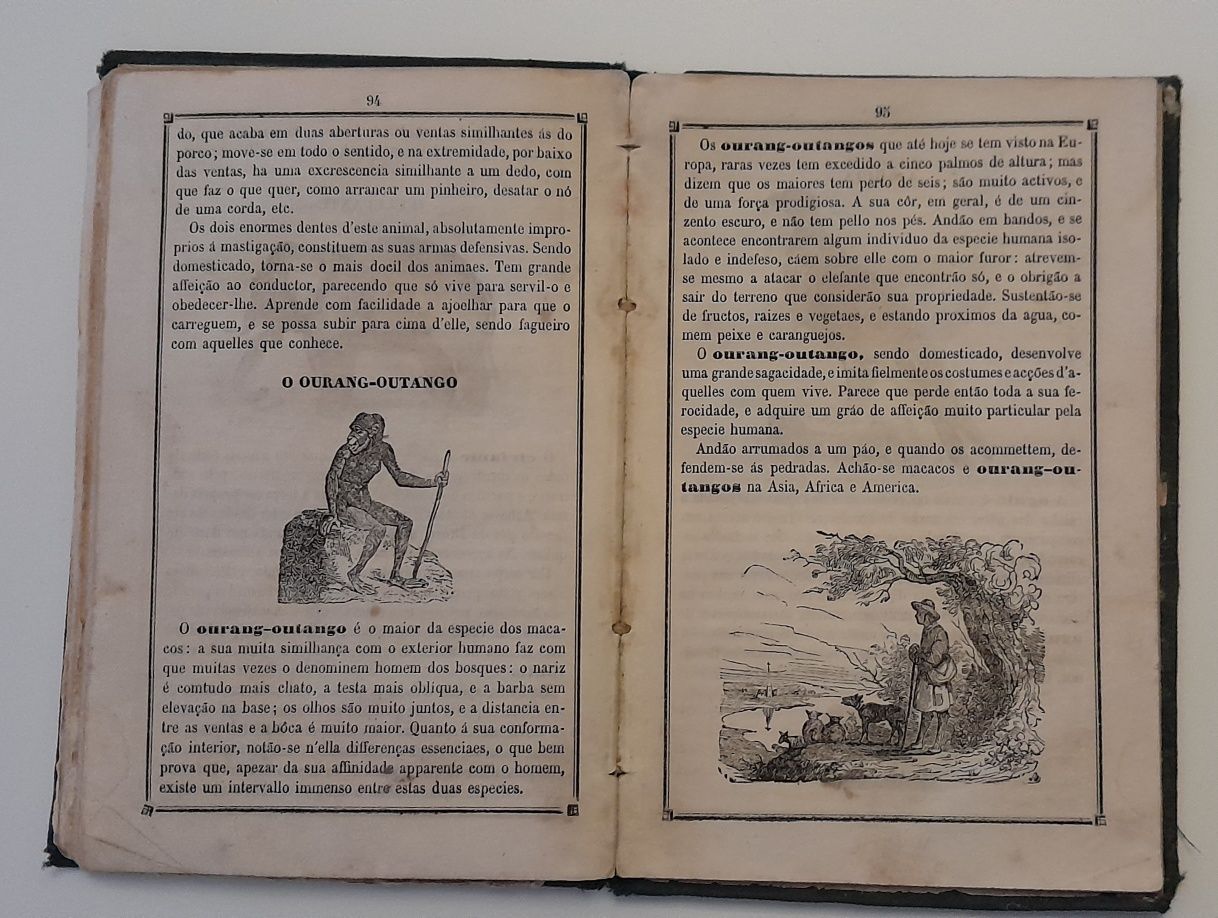 Livro antigo aprender a ler