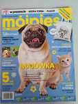Mój pies i kot gazetka