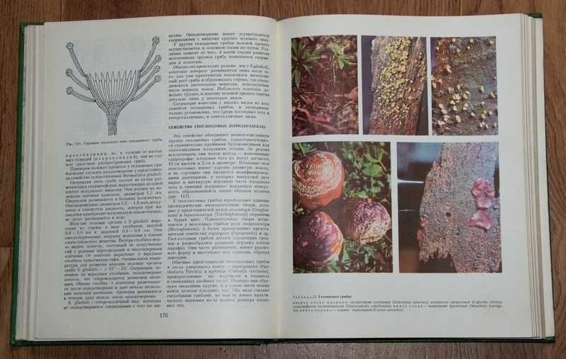 "Жизнь растений" 1975