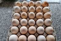 Ovos de galinha caseira