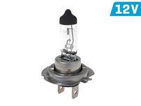 Żarówka VISION common H7 12V 55W PX26d, E4