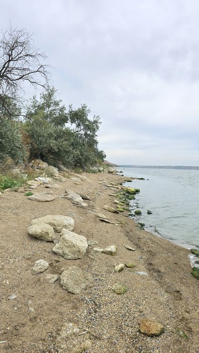 Алтестово  Участок 4 сотки с кадастровым / Возможна продажа соседнего