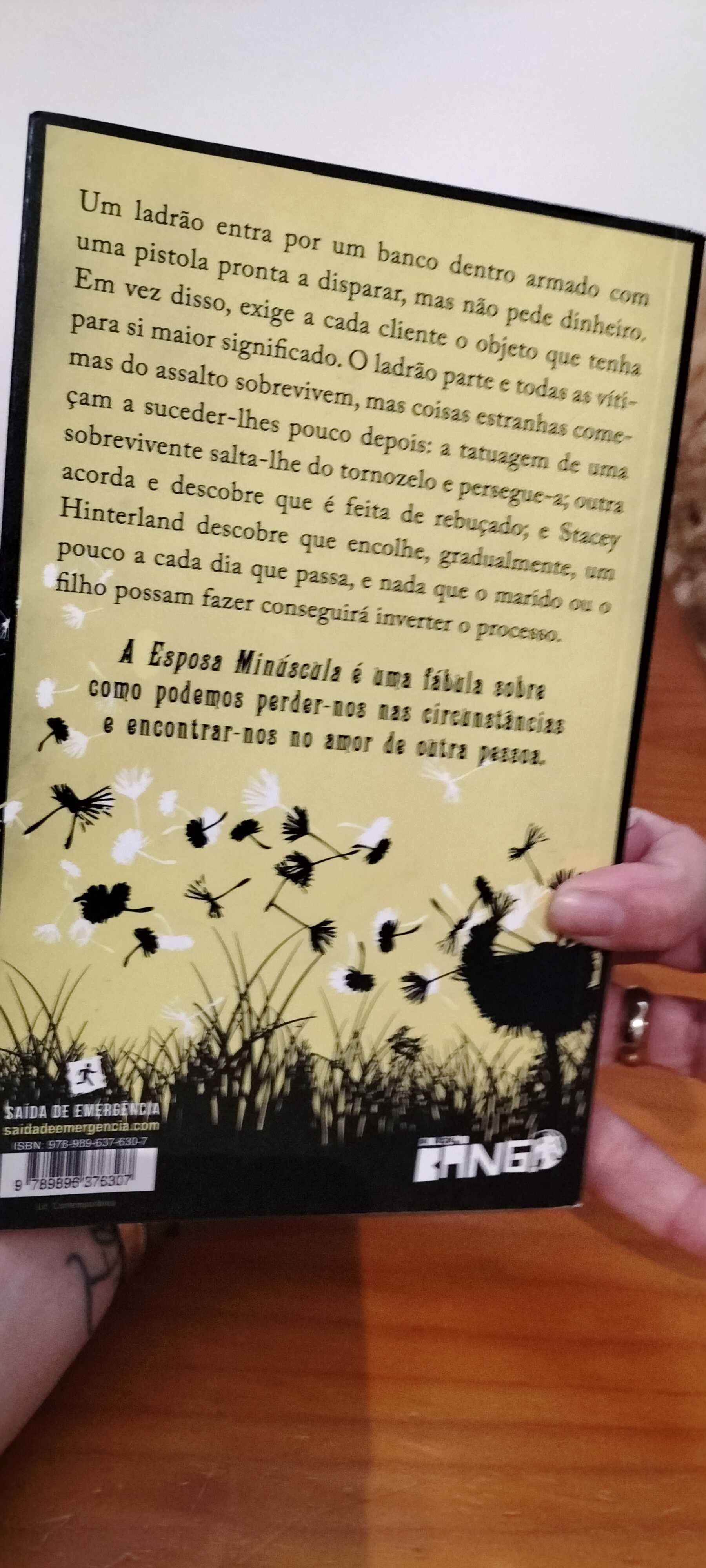 A esposa Minúscula - Andrew Kaufman
