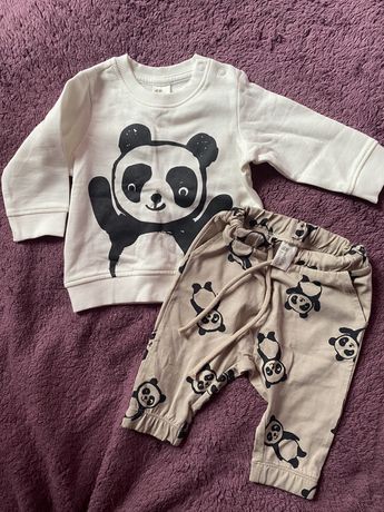 Костюм світшот і штани з пандами H&M Унісекс
