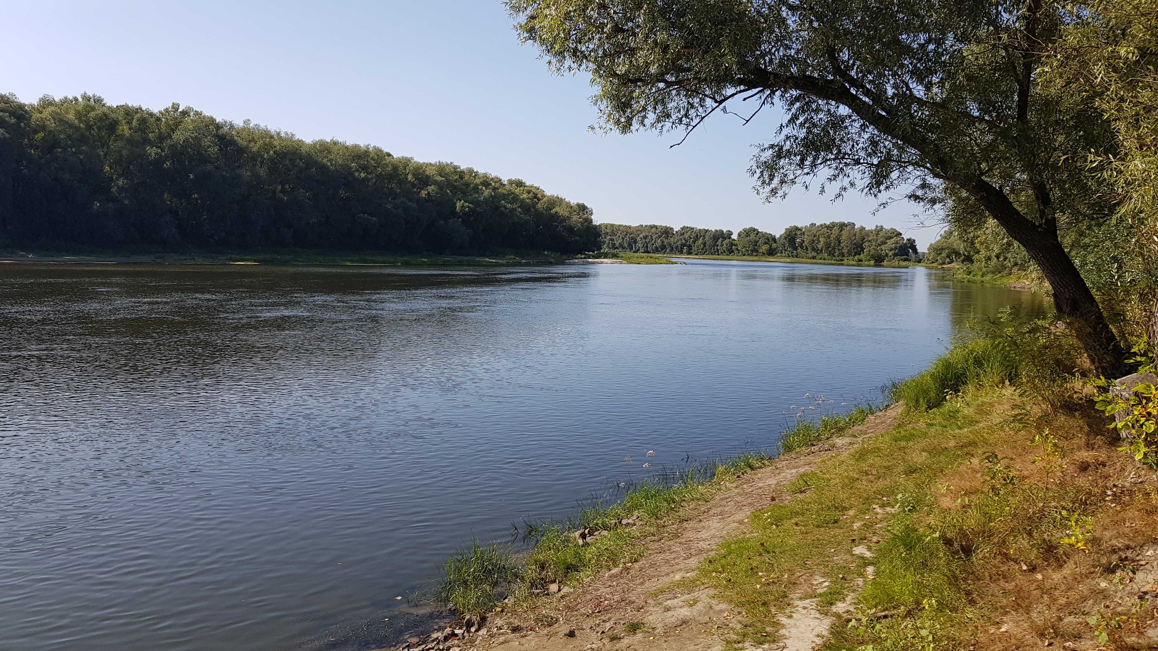 Продам дачу в г. Остер на самом берегу р. Десна