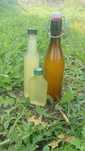 Domowy ocet z nawłoci 500ml
