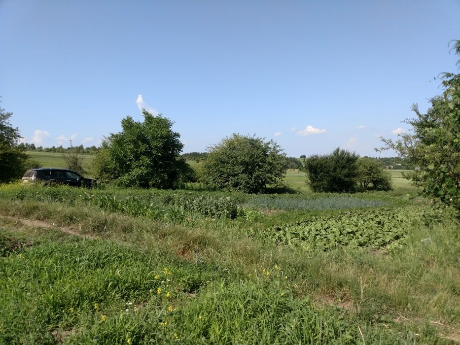 Земельна ділянка