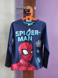 Bluza Marvel Spider-Man 128