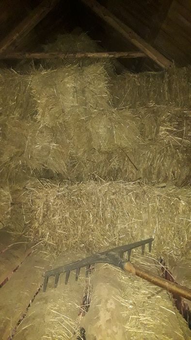 Продам сіно в тюках