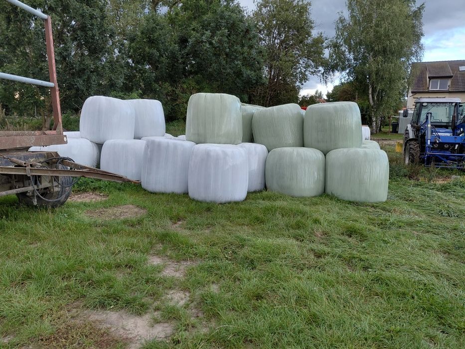 Sprzedam belki z lucerny