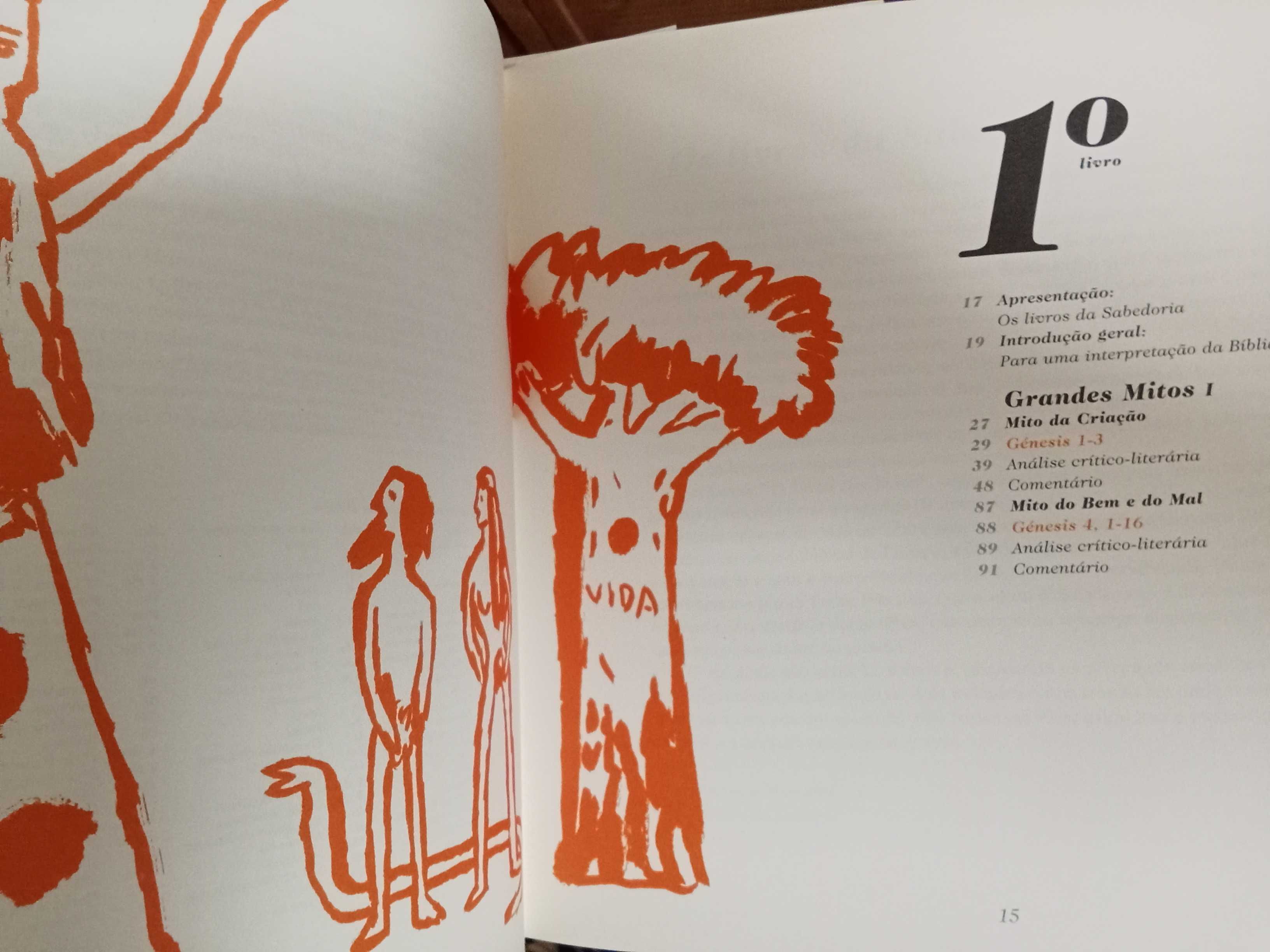 Bíblia, o Livro dos Livros [Col. Expresso]
